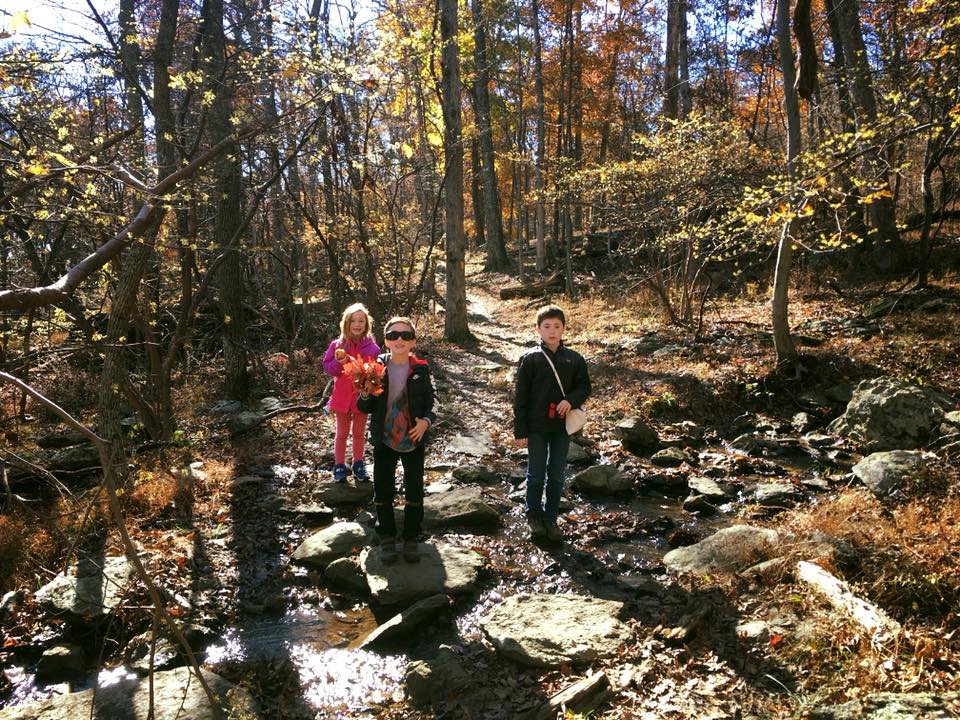 Regan Armstrong Lamb tweet media