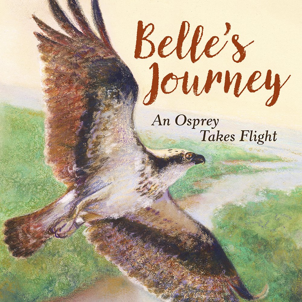 charlesbridge's tweet photo. How delightful to see @Ospreytrax and @katesnowbird's BELLE'S JOURNEY on the Bank Street College of Education's Young Reviewer Pick of the Month list! Many thanks to Maizie for the lovely review https://t.co/RgwwInUdP5 📖😊#kidlit #youngreader https://t.co/wz9wVPaaSZ