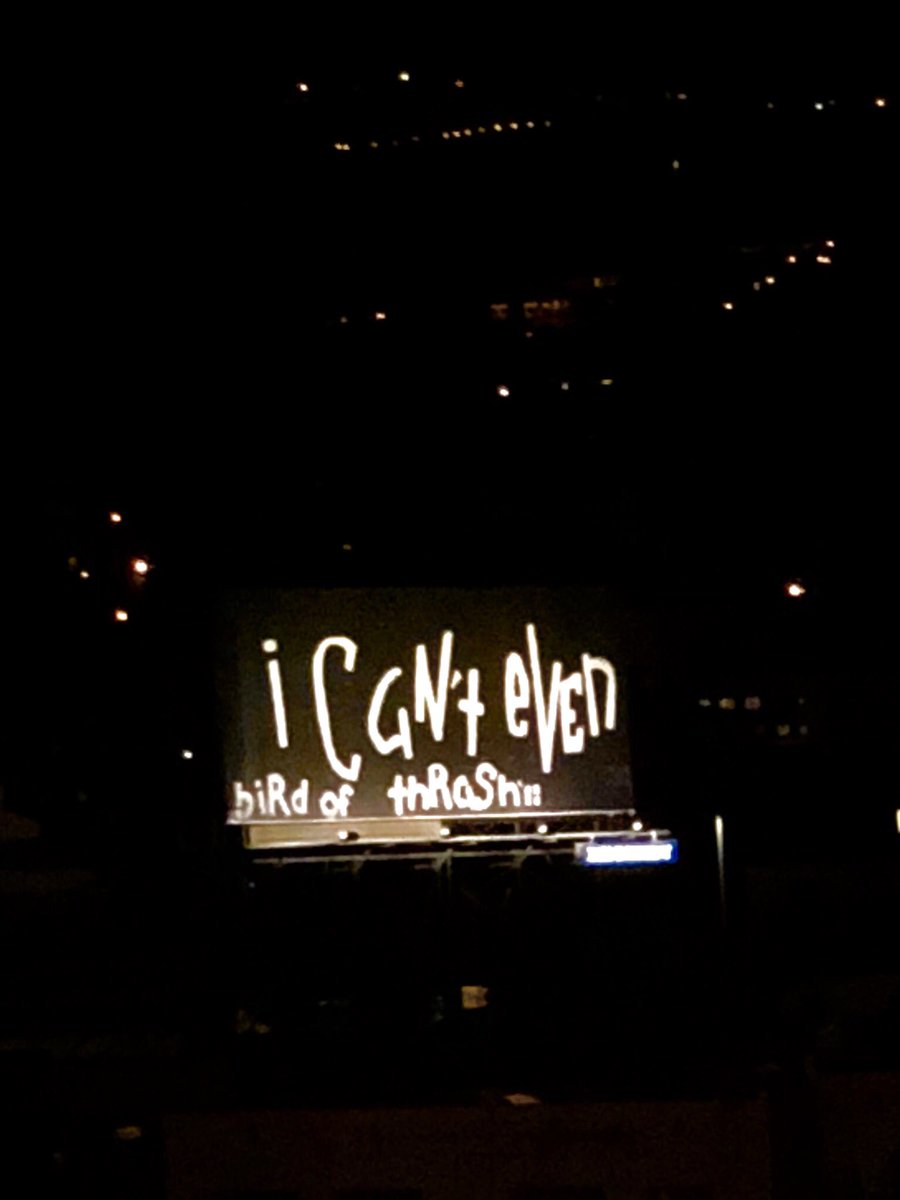 .<a href="/thrashbird_/">thrashbird</a> nocturnal activities