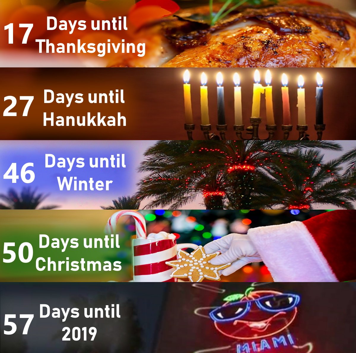 wsvn's tweet photo. With Halloween now behind us, the holiday countdown continues! What are you most looking forward to this holiday season? https://t.co/iOzcsPkhV8
