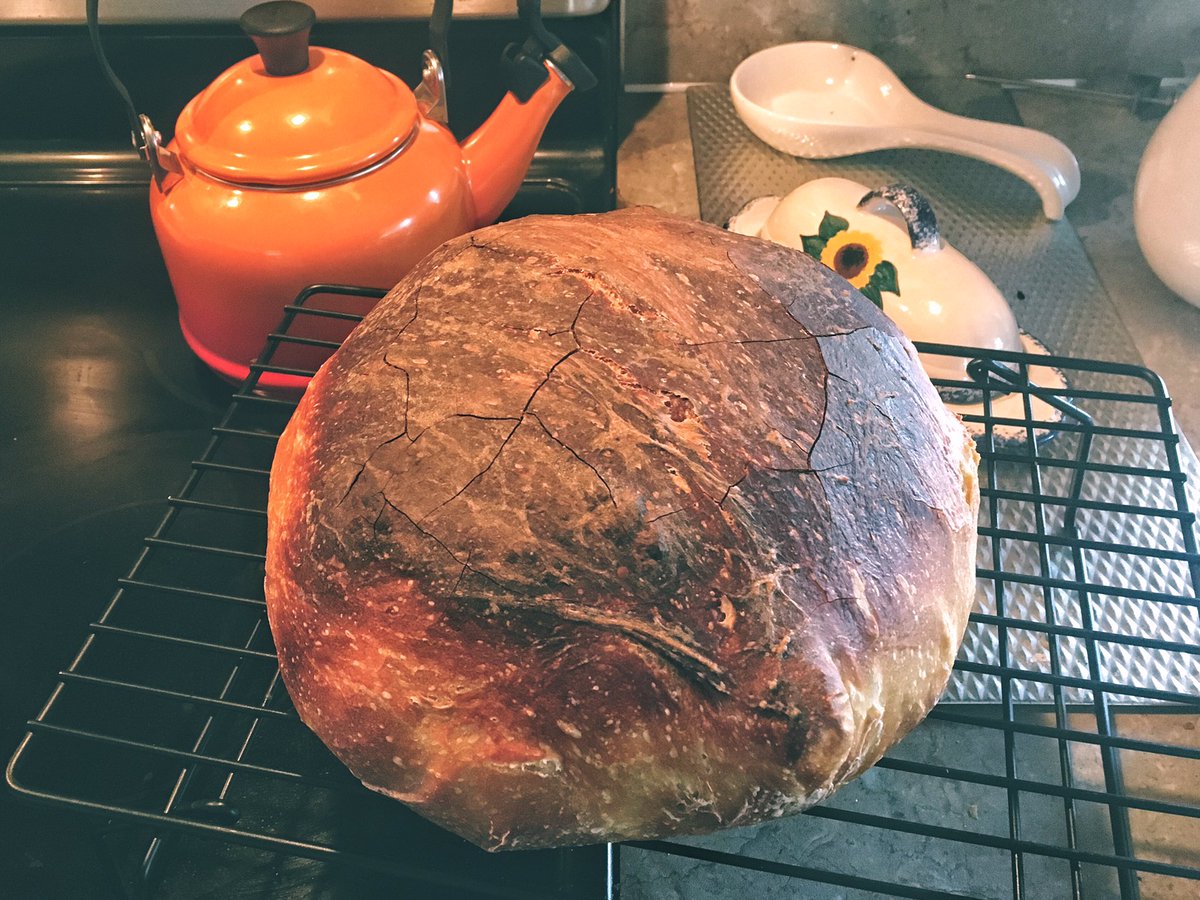 cotebonneville's tweet photo. The harvest rhythm continues: I still seem to be baking a loaf of bread every day. Gotta love fermentation!! 🍷🥖 all we need now is some of @daniels_artisan cheese!

#wine #bread #breadmaking #winemaking #theygotogether #needcheese https://t.co/XStOXOPuhE