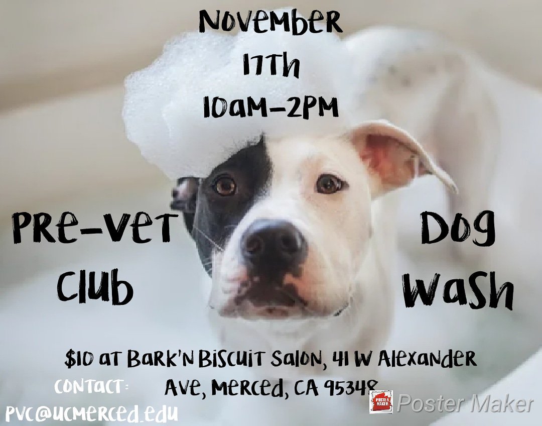 UCMercedPVC's tweet image. Bring your companion in for a bath! Only $10!