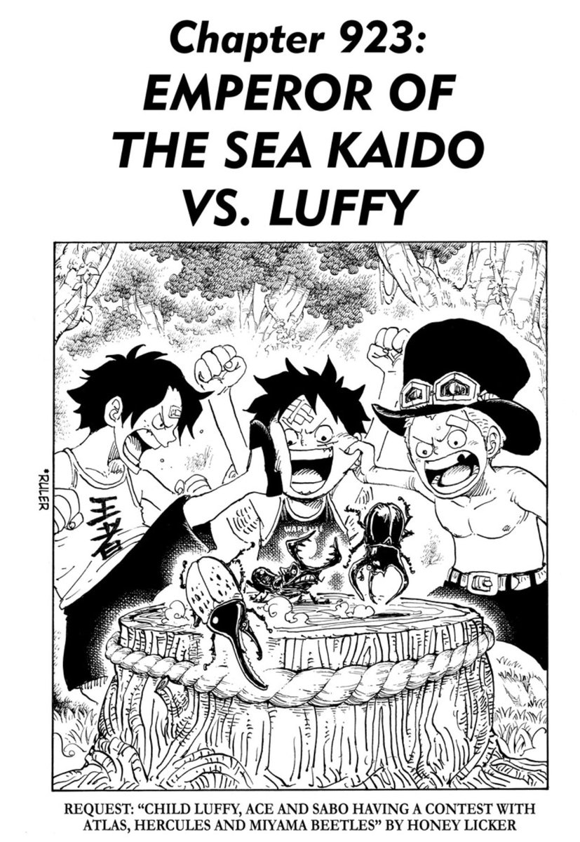 One Piece Cover Page Penggambar