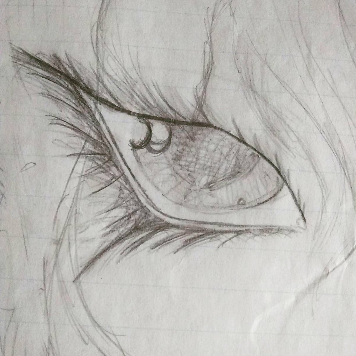 DR_Artistry's tweet photo. Random old eyelash idea I roughly sketched
_
Done in pencil
_
#original #eye #drawing #eyedrawing #pencilart #femaleeye #blackandwhite #roughsketch #sketch #olddrawing #memories https://t.co/HJu8A5mLc6