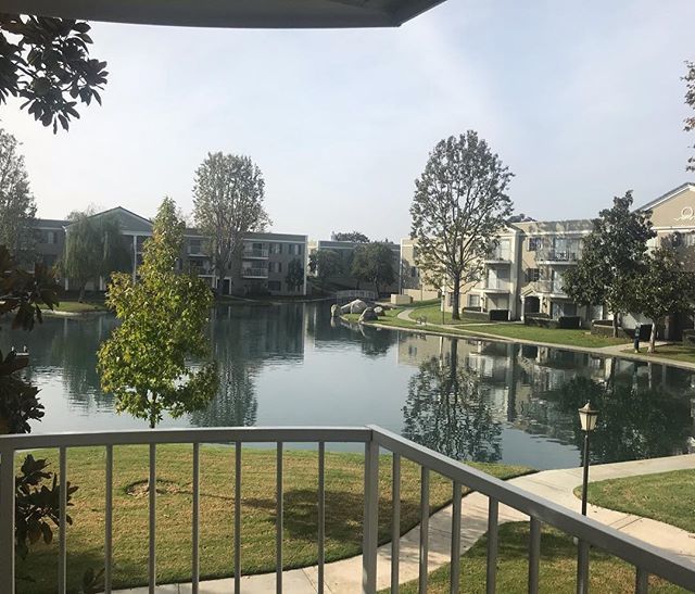 Beautiful morning to start with a tour... Stop by today 😀

#goodmorning #versaillesonthelake #southcoastmetro #lakeviews #tourtoday #fallspecials #jronebedrooms #jrexecutives #onebedrooms #twobesrooms #threebedrooms #specials #November #sweaterweather #clouds #winds #trees #…