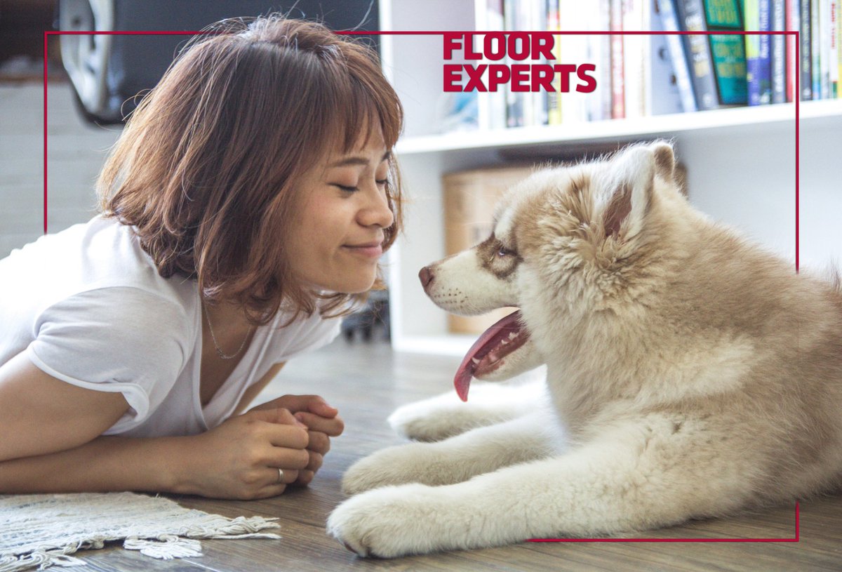 FloorExpertsIta's tweet photo. Sappiamo quanto sia importante ciascun spazio di casa propria. Luoghi caldi di affetto dove sentirsi se stessi.
Per questo in Floor Experts Italia amiamo studiare costantemente nuovi decori di pavimento adatti a te.
#PavimentiCaldi #FloorExperts #RelaxWeHaveIt https://t.co/BQ13OtUzdk