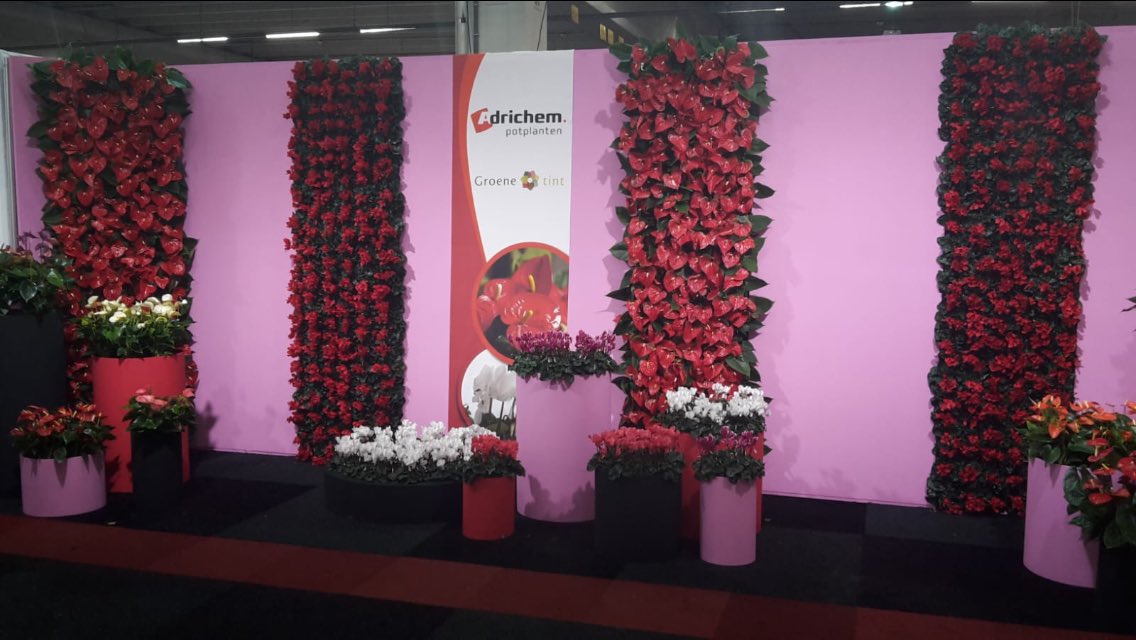Ready for the #TradeFair Vanaf a.s. woensdag bent U welkom in standnr. 33.1 voor een heerlijke kop ☕️. #RFHTF #anthurium