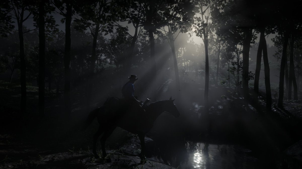 TheBusDrivers2's tweet photo. Maaan, just the ambiance alone is spine tingling..... no Peter!! This one comes from fellow #TBD_ member D. We'll call this one "Shadows In The Light "
#Rdr2 #Rockstargames #RedDeadRedemption2 #Ps4 #GreatnessArrived #TBD_ #ArthurMorgan #Playstation #TheBusDrivers_ https://t.co/gh2du4Q6IA