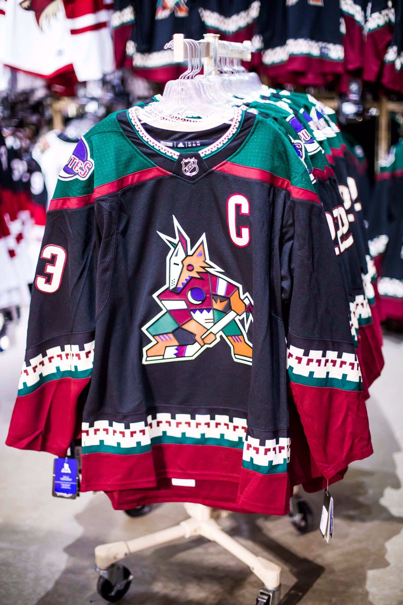 Arizona Coyotes Kachina 