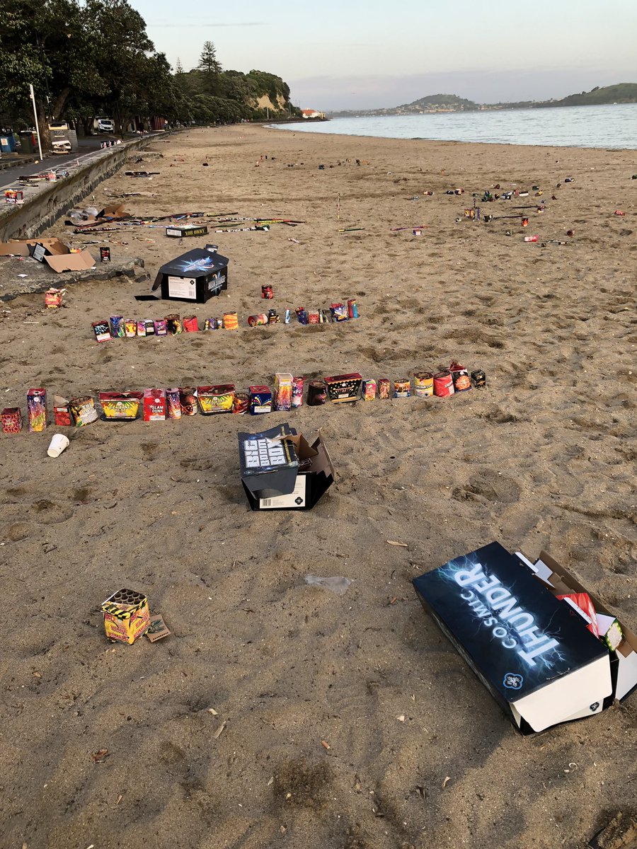 SamPeate's tweet image. Hey, Auckland. Be a tidy kiwi next time. #Fireworks #GuyFawkesNight