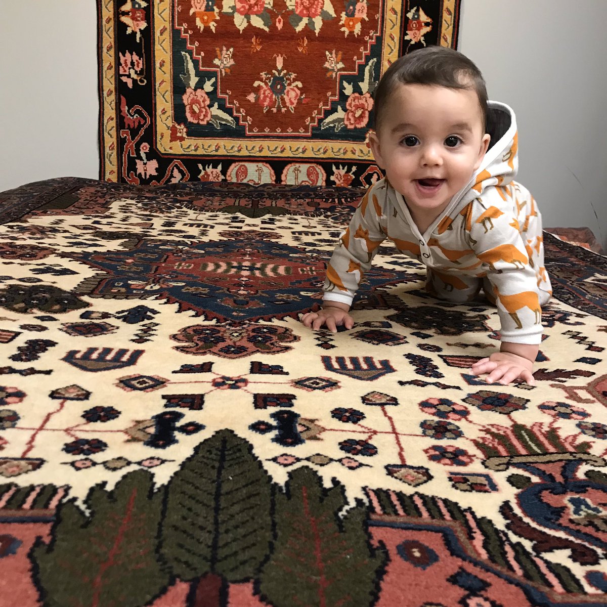 #Milwaukee! Only 3 weeks left to warm up your floors and score a sweet deal on a gorgeous, high-quality rug from Kashou’s (a Milwaukee family biz since 1910) get over to the Farwell Ave showroom ASAP for deals starting under $100! #milwaukeerugs #interiordesign #rugs