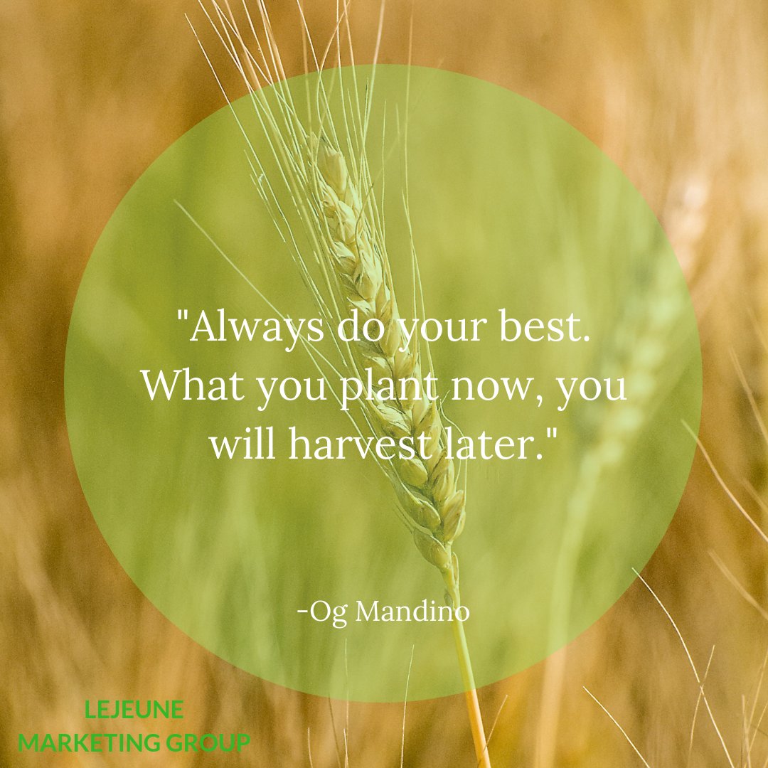 LeJeune Marketing Group strives to help our clients be the best that they can be, no matter the day of the week.
Visit lejeunemarketinggroup.com to learn more! // Call 312-399-3085
#lejeunemarketinggroup #lmg #lejeunestrategy #makeithappen #digitalmarketing #motivationalmonday