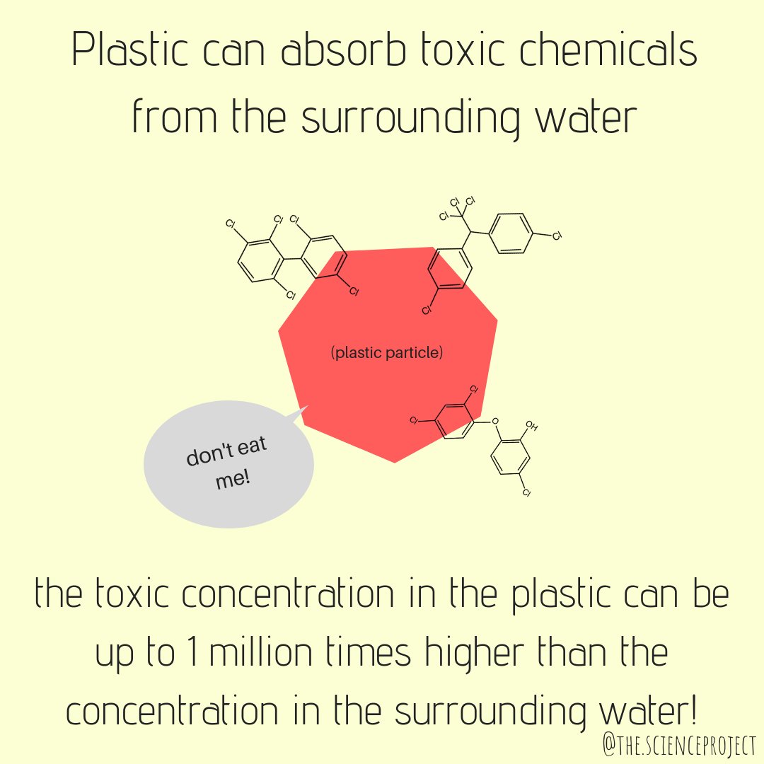 tscienceproject's tweet image. Plastic in the environment can hold some nasty secrets - they are filled with toxic pollutants. This is potentially harmful for animals that ingest plastic by accident... 🐠☠️ #plasticfree