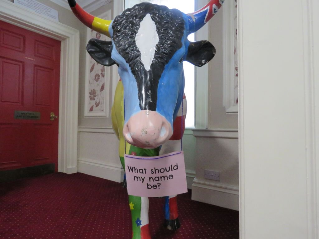 We have decided it's time to name the ox we received as a gift from our twin town @stadtnordenham and we need YOUR help! Retweet us with what name you think rocks the ox 🐮 🐂 #wearePTC #ox #followthecow