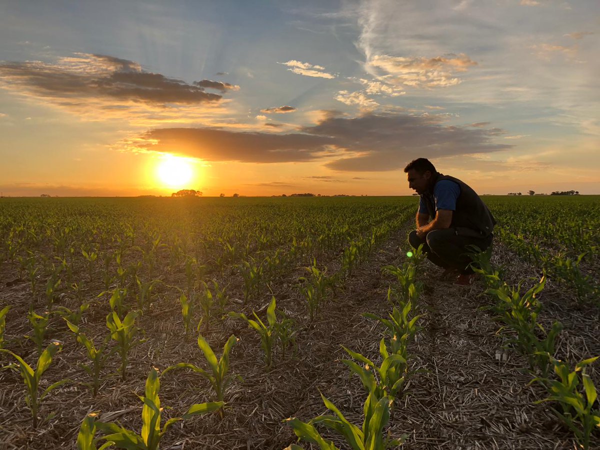 No creo que haya un laburo mejor que el que tiene que ver con la tierra