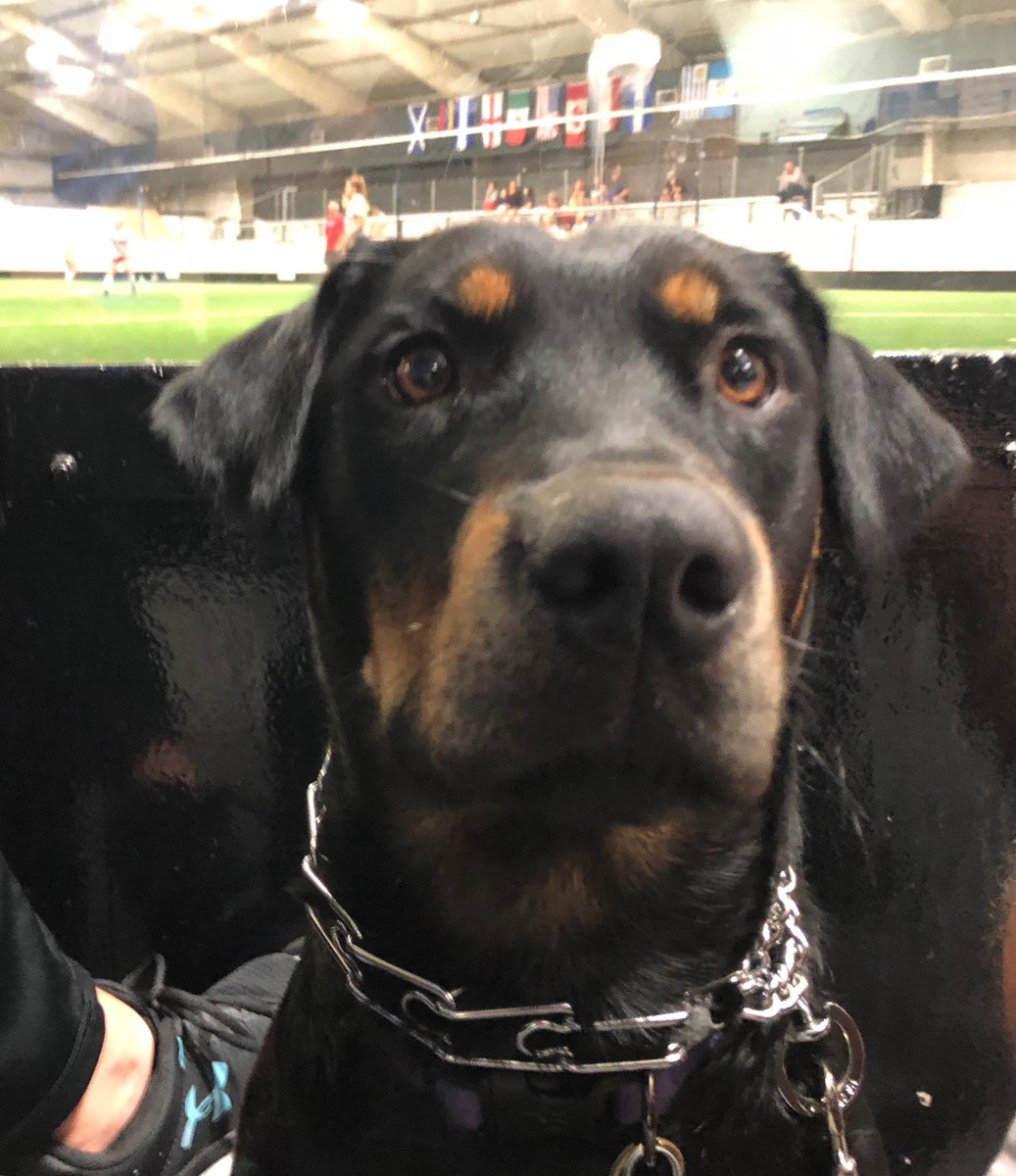 Scout is out ⁦<a href="/NorthwestIndoor/">Northwest Indoor</a>⁩ soccer watching the ⁦<a href="/ChallengeSoccer/">Challenge Soccer Club</a>⁩ U15 &amp; U16.  Thanks Northwest Indoor Soccer for the field time. Rain rain go away.