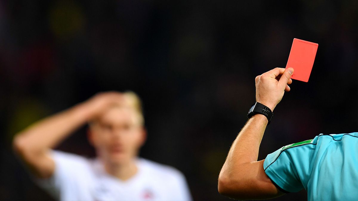 Gillian Fox tweet media