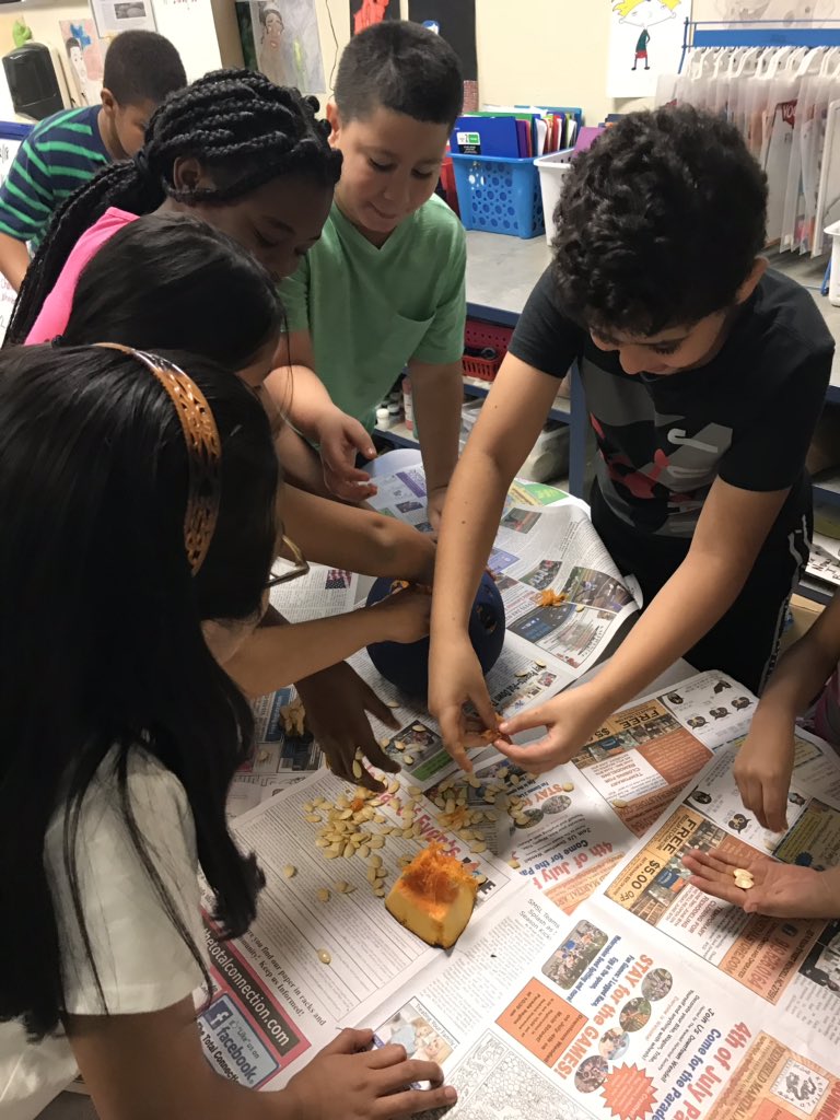 SpruillFifth's tweet photo. Making concrete connections! Estimate, predict, count, measure,weigh and chart. Messy and fun! #pumpkindataproject @4thGrade_SSE @SSE_Dolphins https://t.co/xPJzgDbPus