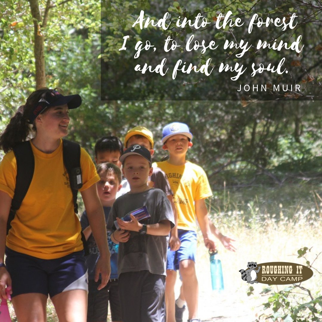 roughingitcamp's tweet image. QUOTE OF THE WEEK: &quot;And into the forest I go, to lose my mind and find my soul.&quot; - John Muir #RIDC #RoughingItDayCamp #SummerCamp #Inspo #QuoteOfTheWeek