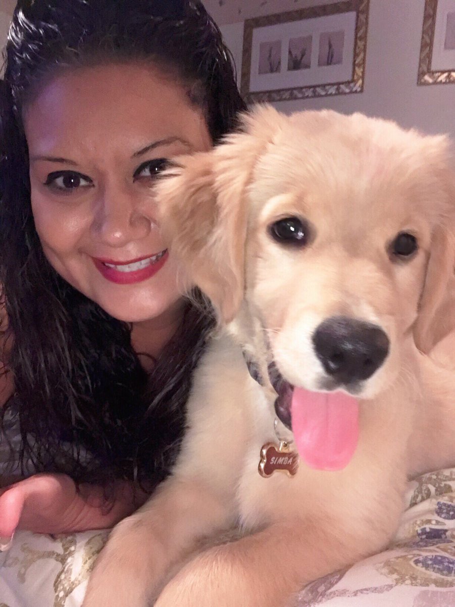 MikeandJes's tweet photo. I’m a mom of 3 boys and this amazing puppy Simba. So much joy and happiness with him. I love my little blonde boy #woofweek #BeOn9 #cutestpuppy #bestpuppy #goldenretriever #puppy https://t.co/w7T5Rb2gjm