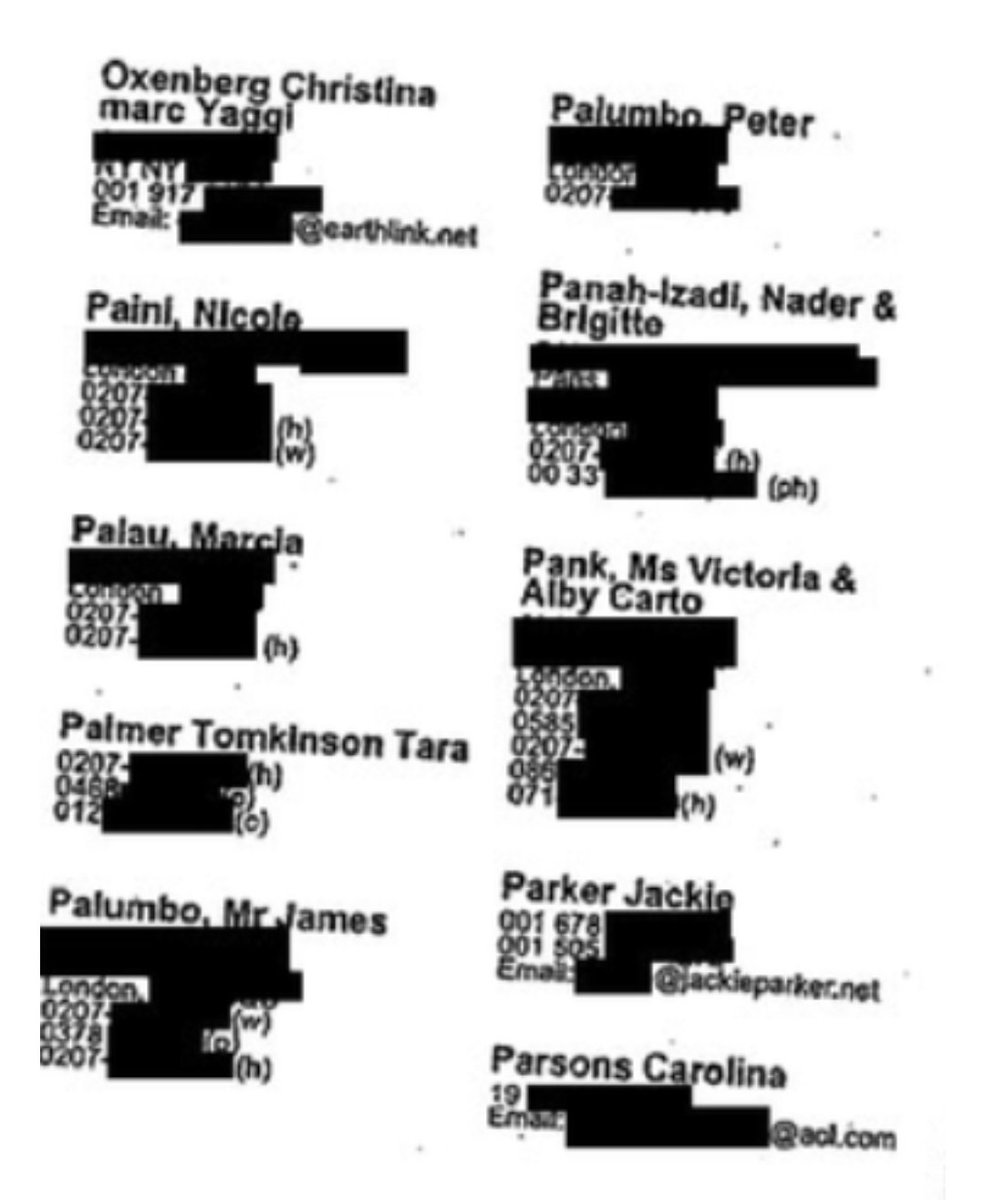 Roger Bramble is a co-director of the Serpentine Trust together with the Palumbos and former Mayor of NYC, Michael Bloomberg. Both the Palumbos and Bloomberg featured in Epstein's black book. Epstein was a firm backer of Bloomberg.  https://companycheck.co.uk/company/02150221/THE-SERPENTINE-TRUST/companies-house-data https://www.prnewswire.com/news-releases/jeffrey-epstein-prominent-financier-applauds-bloombergs-plan-for-new-york-charter-schools-198490291.html