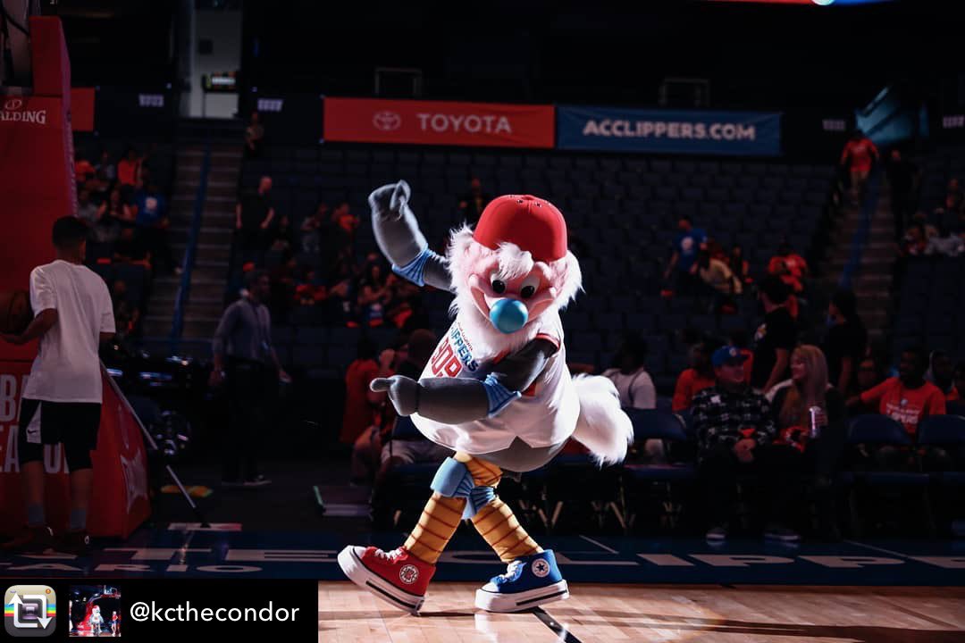 OntClippers's tweet photo. Repost from @kcthecondor
Stepping into my first Monday like... 🐣
#aguacalienteclippers #ACC #KidCondor #LAC #Ontario #KC #LAOurWay https://t.co/yAgKNMvo9S