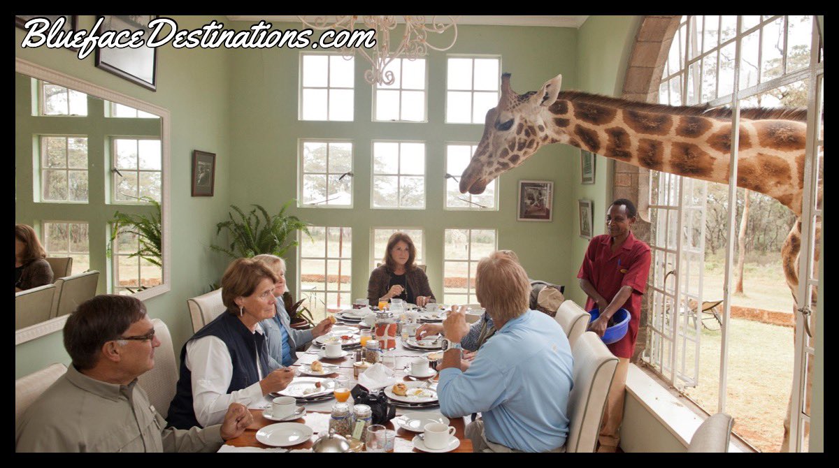Mzfaithfulntrue's tweet photo. Giraffe Manor Nairobi Kenya 🇰🇪 #TravelTheWorld #iTravel #iExplore #BluefaceDeatinations #Giraffe #Live #Nairobi #Kenya @Blueface_Dest #Life #iBookWithBlueface #Traveling #AroundTheWorld #Exploring #Travel #Explore #Monday #Blueface #Living #VacationLife #Vacations #TravelLife https://t.co/G3LmMEvq4g