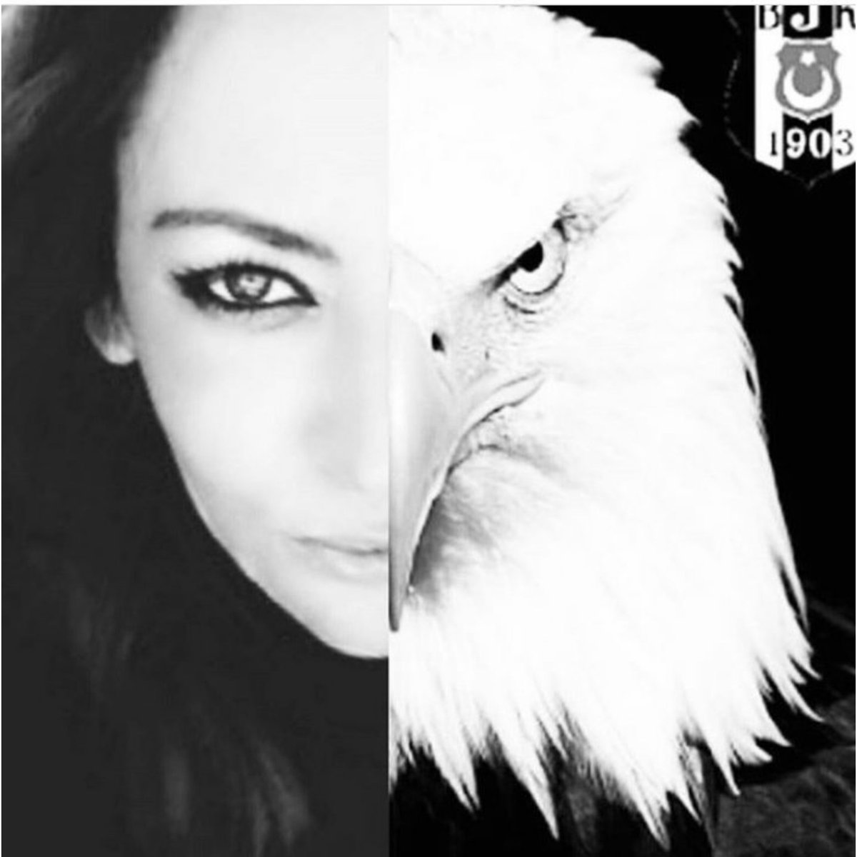 𝒮ℯ𝓁𝒹𝒶 𝒢𝓊̈𝓃ℯ𝓈̧ tweet media