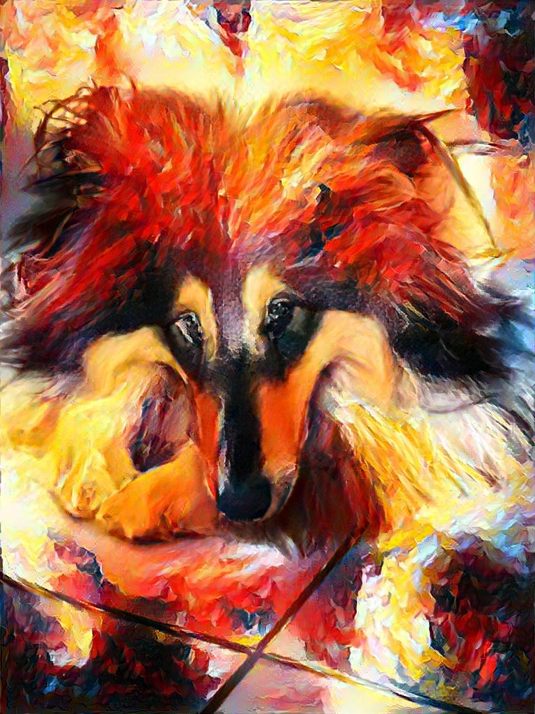 #neuralimagen #collie