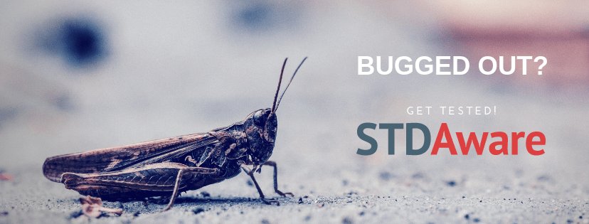 STDAware's tweet photo. Insects Have STDs. What it might mean for humans. https://t.co/fuSfskqi9k https://t.co/TcPhnKCfxf