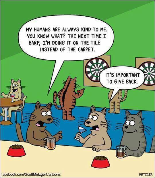 FatCatArt on Twitter: "The importance of giving back 😹😹😹 By Scott  Metzger Cartoons https://t.co/u1rREAZlSU #FatCatArt… "