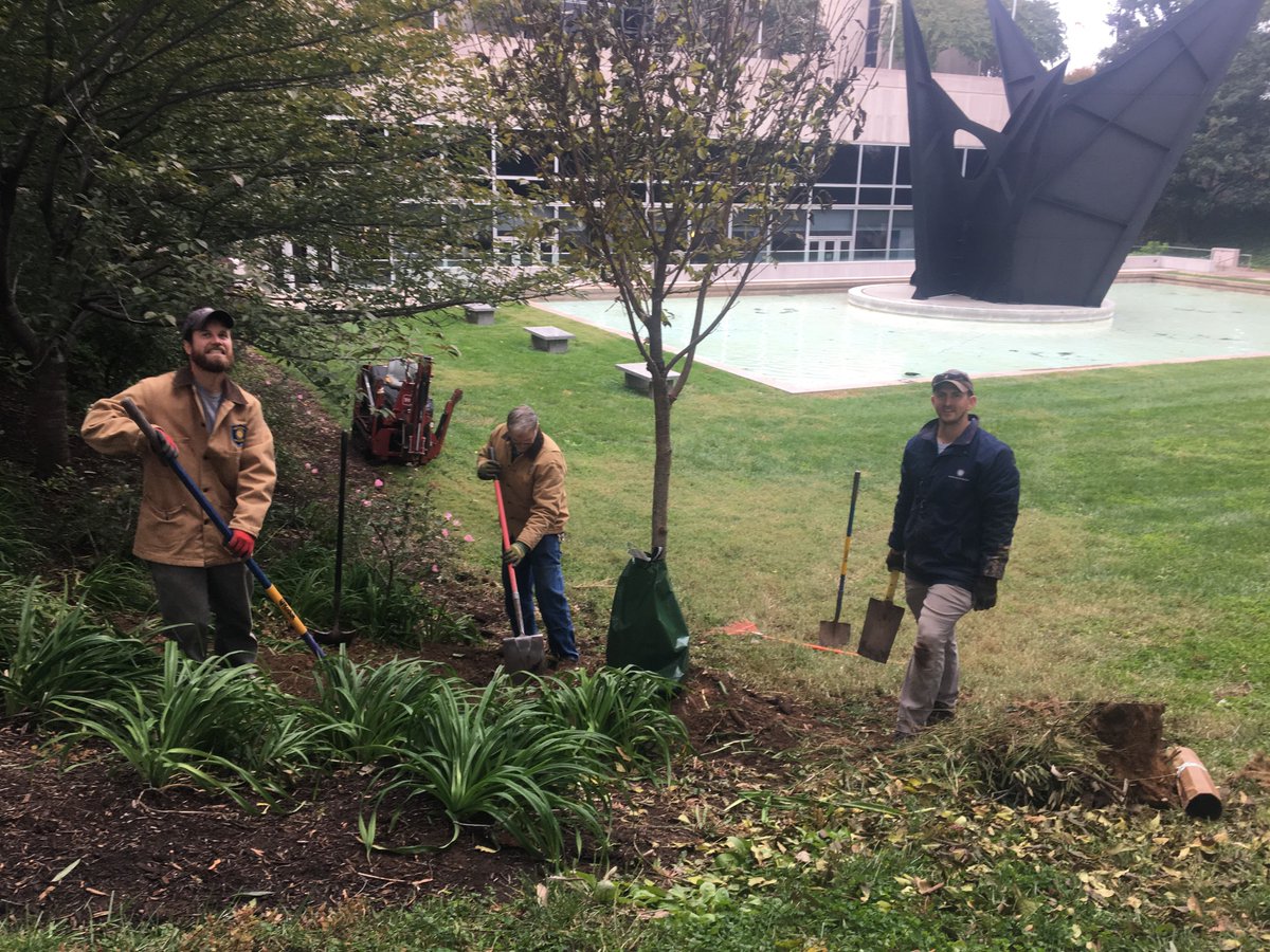 We are planting new trees at <a href="/amhistorymuseum/">National Museum of American History</a>! Fall is the best time to plant trees and we are making the most of it. Don’t forget to leave the top few inches of the root ball exposed to prevent girdling roots. Happy planting! #SIGardens