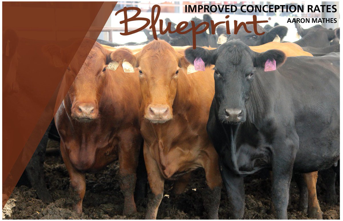 Hubbard Feeds (HubbardFeeds) Twitter