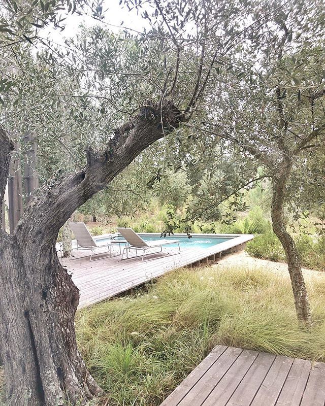 susanapchaves's tweet image. Is inta-stalking the neighbors pool considered an offence? .
.
. 
#poolcool #hotelpool #villapool #sublimecomporta #thatsdarling #baloves #darlingmovement #pursuepretty #petitejoys #flashesofdelight #nothingisordinary #livethelittlethings #welltravelled … ift.tt/2QmbMnl