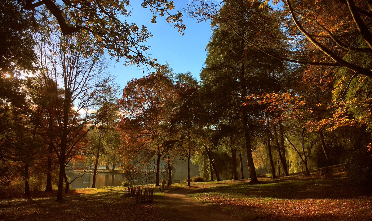 The_TreeGuy's tweet photo. No words needed!!! #autumn #autumncolours #stourhead #Trees @ntstourhead @alanstourhead @BBCWiltshire https://t.co/fNodKAO1Ip