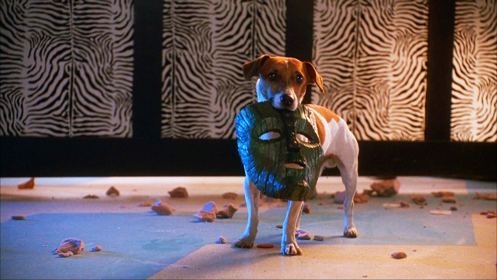 Маска фильм 1994 собака Майло