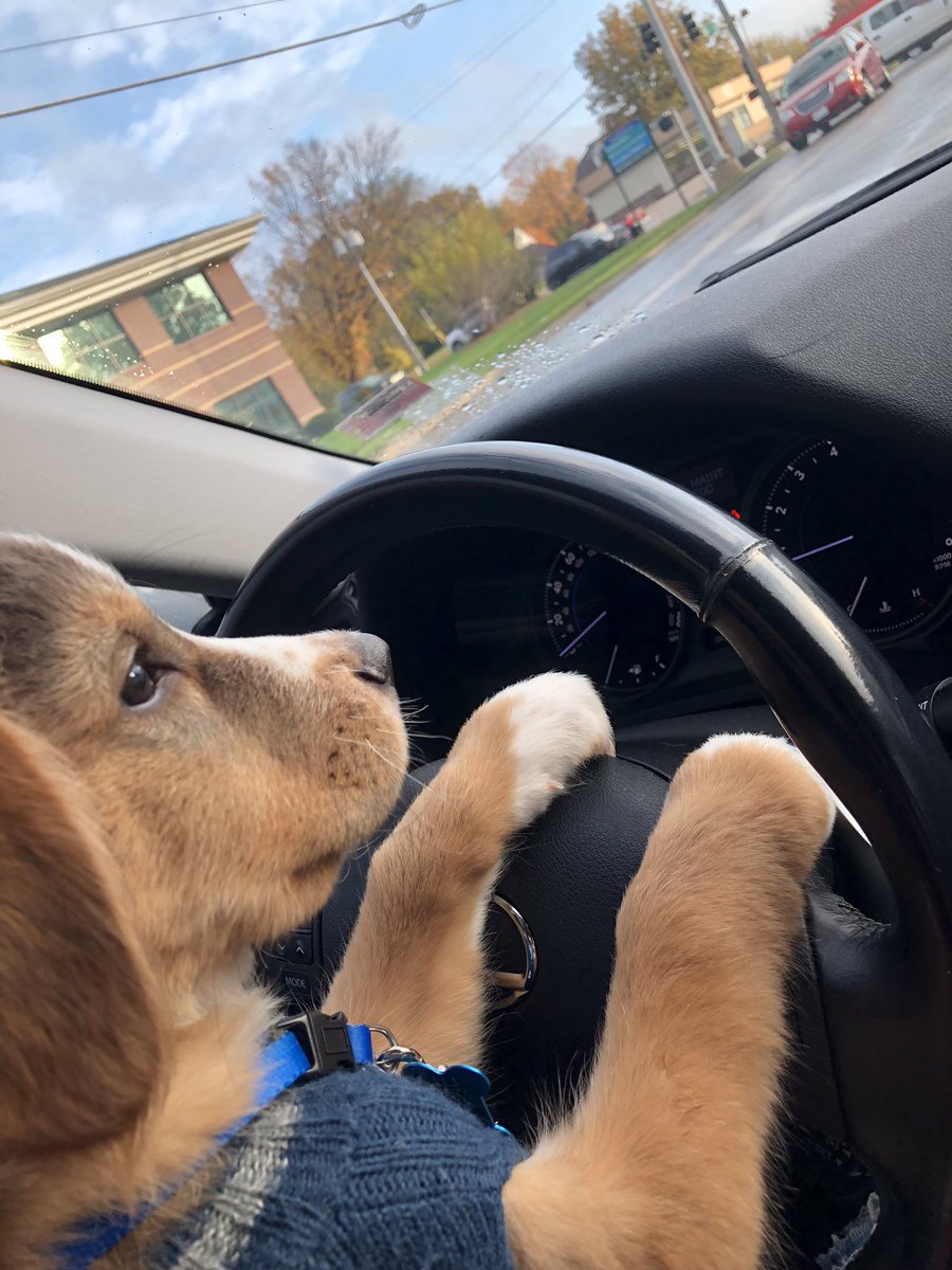 jakehussey28's tweet image. #StudentDriver