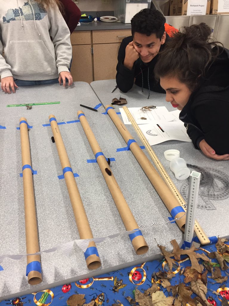 Wooly Worm Derby today <a href="/SCPS_BigPic/">SCPS Big Picture</a> in biology class!  (We also learned about classification, anatomy, behavior, and Wooly Worm folklore).