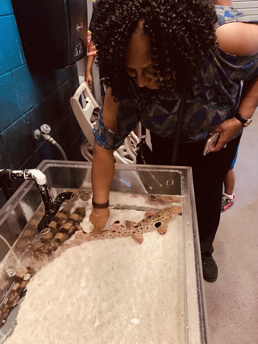 Killian Prendergast tweet media