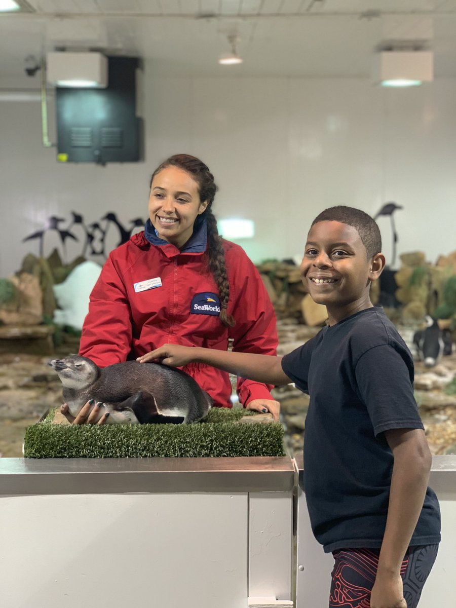 Killian Prendergast tweet media