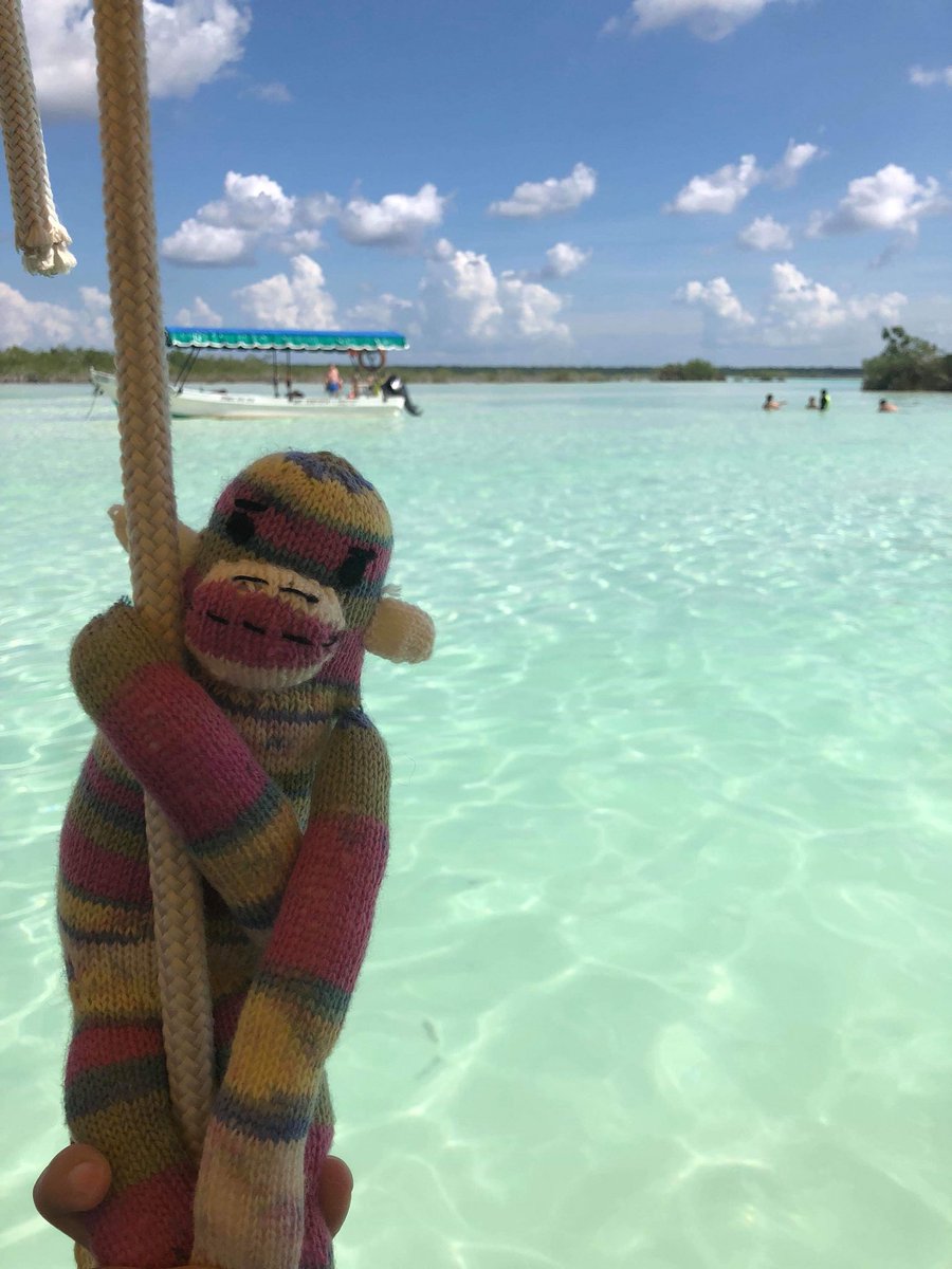 marcelmonkeys tweet picture