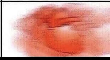 SonGohanUA's tweet image. Gohan : gets B on test 

Chi chi : "How'd it go?" 

Gohan : his heart