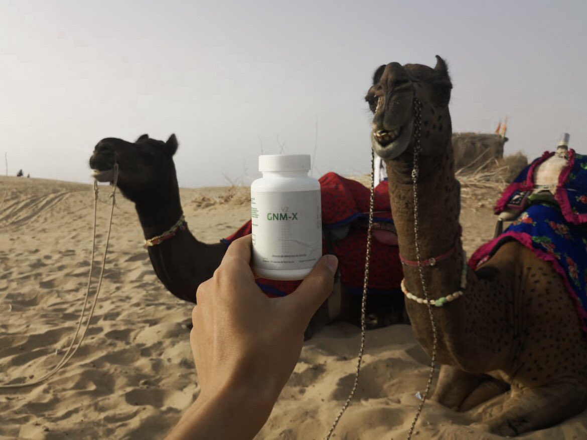 Activz's tweet photo. ACTIVZ is around the world! #beactive #beactivz https://t.co/bVrISR1Xgz