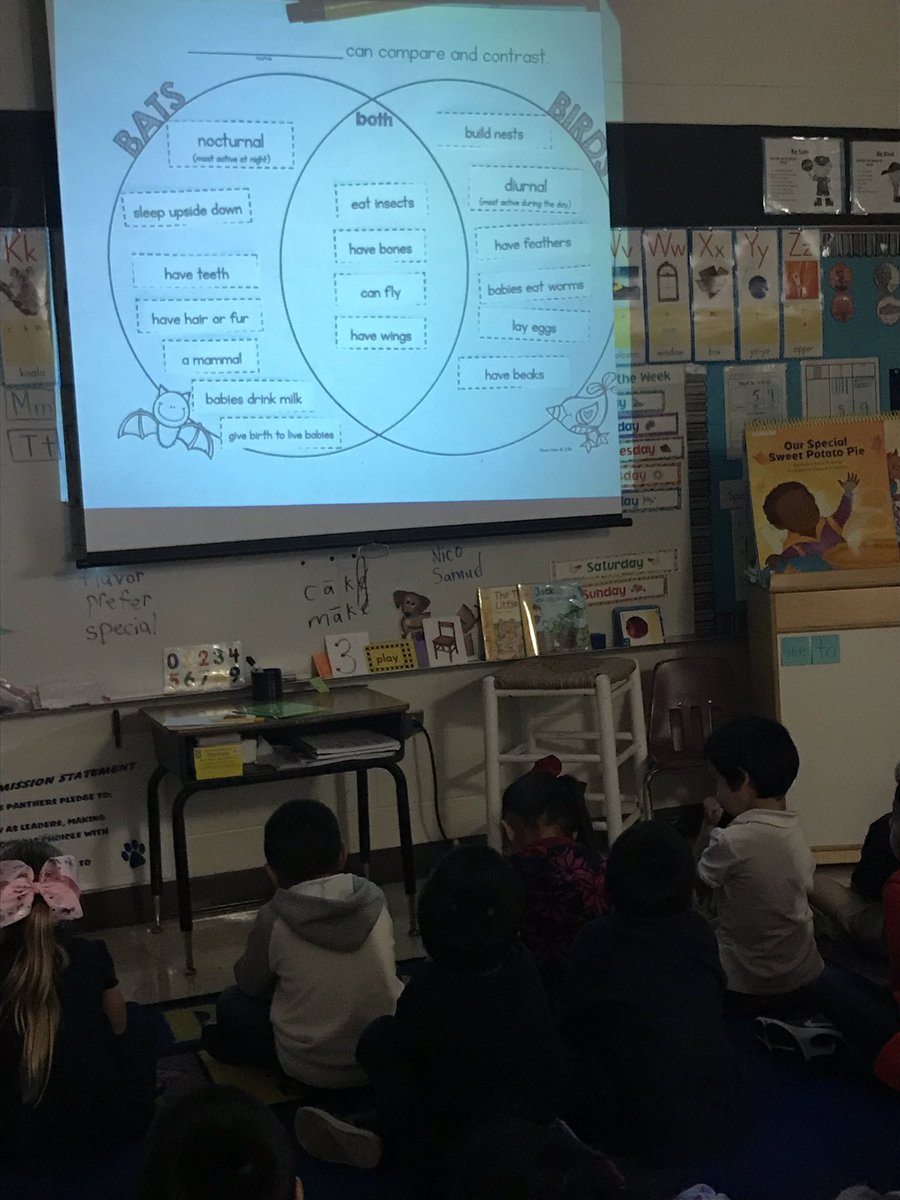 idelgadolf's tweet photo. Venn diagram to compare/contrast bats and birds! #lightupliteracy https://t.co/WNnCL4fLQy