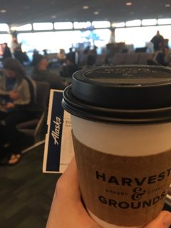 AccountingMage's tweet photo. My favorite #RemoteWork office yet. Heading to San Diego for the #MaverickMeetup2018! Can't wait for you guys to see what's in store for @merchantmav https://t.co/P6T1W34tW6