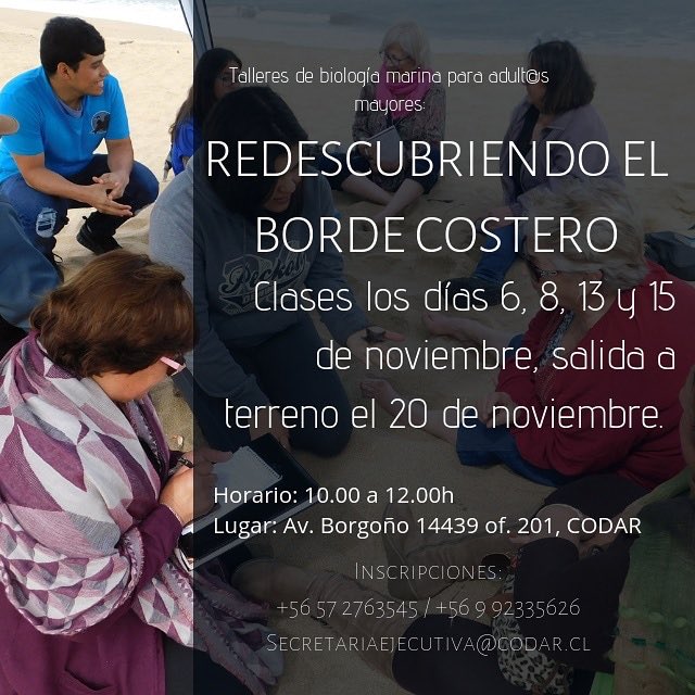 OrgEcomar's tweet image. 🦑 Mañana comenzamos con nuestra 1ra sesión del segundo ciclo de Talleres de Biología Marina para #PersonasMayores Redescubriendo el #BordeCostero 🌊 sin embargo, todavía se pueden inscribir y participar de las siguientes sesiones😉 inscripciones al secretariaejecutiva@codar.cl✨