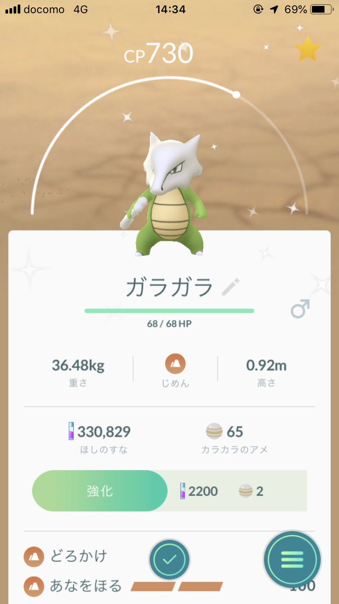 ポケモンgo アローラガラガラの色違いもゲット出来る ゲット報告 ポケモンgo攻略まとめ速報