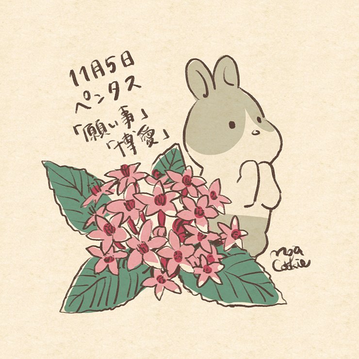 もじゃクッキー 在 Twitter 上 11月4日 5日 6日が誕生日の皆さん おめでとうございます 誕生花は クロッサンドラ と ペンタス と フジバカマ 誕生花とどうぶつさん T Co Sd9al0vmbe Twitter