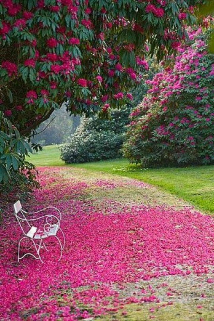 isasoares_Kim (@isasoares_ee) on Twitter photo 