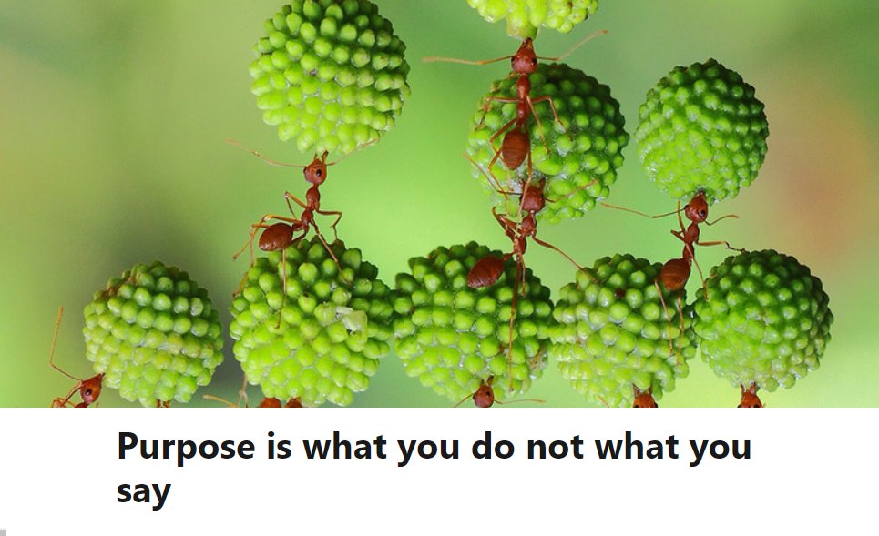 CandourCom's tweet photo. Andy West (@Westofcenter ), Group Chief Development Officer, @hotwireglobal explains why brands must understand its purpose and be able to articulate that purpose effectively and consistently.
https://t.co/nYuWEaVTJM
#BrandPurpose #BrandMarketing #CandourNetwork https://t.co/Icu93yQQ6s